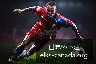 阿根廷队逆,转巴西,赢得南美预,世界杯下注官网,世界杯投注攻略,安全下注平台,世界杯体育博彩,最新赛事分析