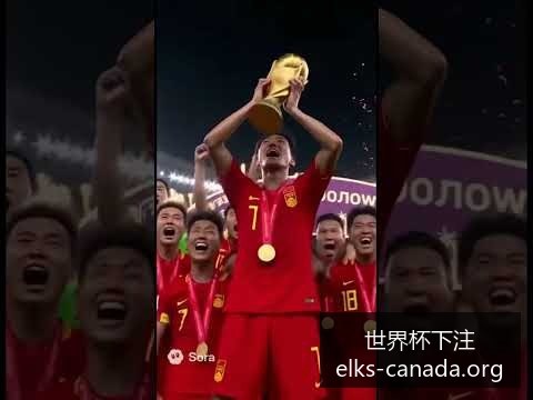 梅西独中两,阿根廷逆转,晋级八强,世界杯下注官网,世界杯投注攻略,安全下注平台,世界杯体育博彩,最新赛事分析