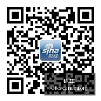 电竞战队新,合约曝光,新赛季备战,DB体育,DB体育官网,DB体育app,DB体育直播